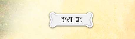 Send an email